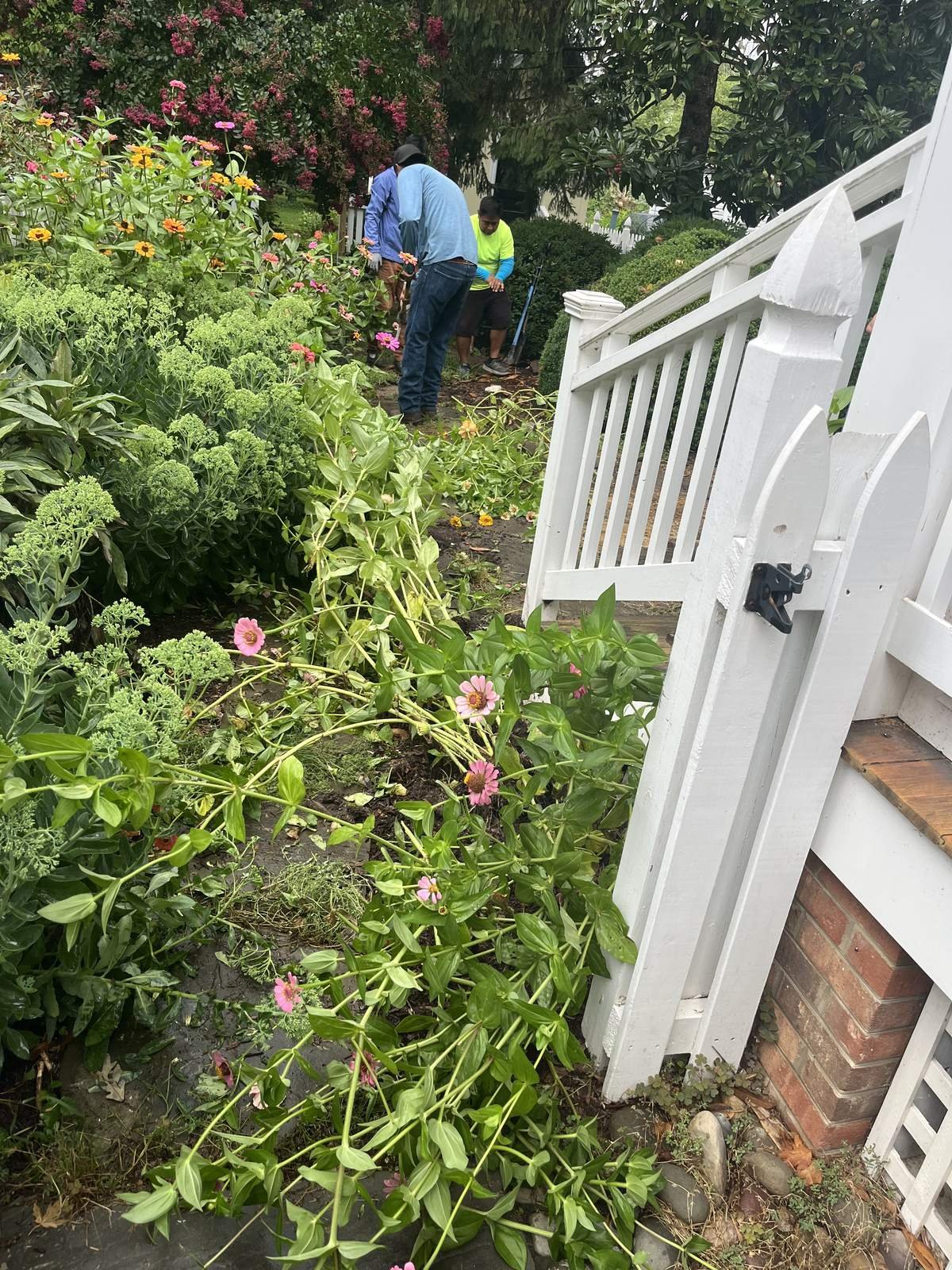 Garden Bed Maintenance — Top Notch Property Services